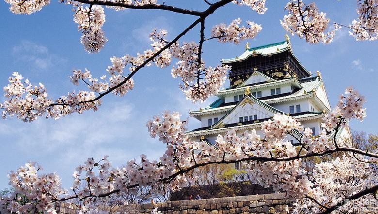 [新聞] 日本自由行旅遊攻略 一個人的旅行