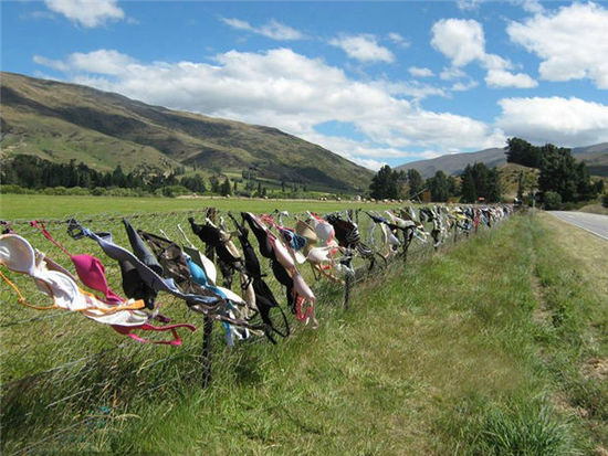 [新聞] 世界奇葩旅遊景點 新西蘭的胸罩柵欄