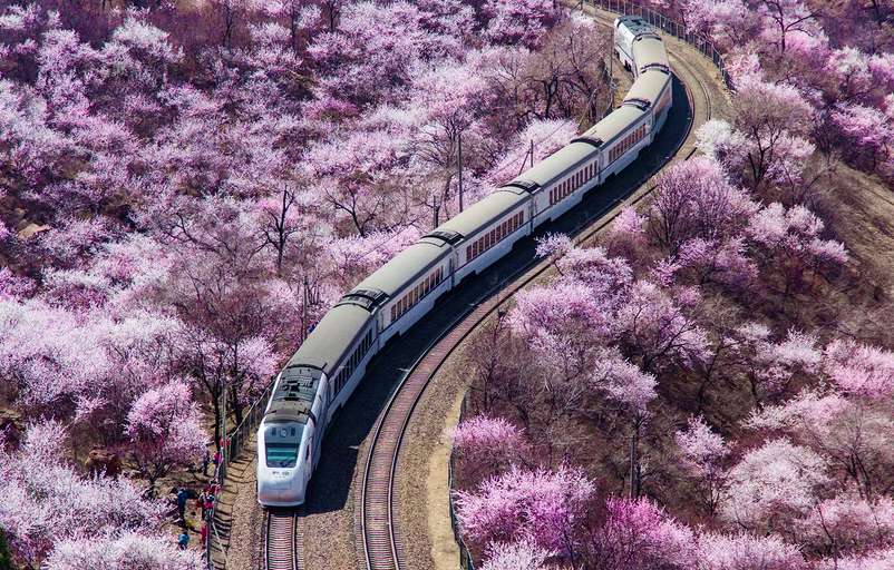 [新聞] 開往春天的旅行 全球最美的10個火車站